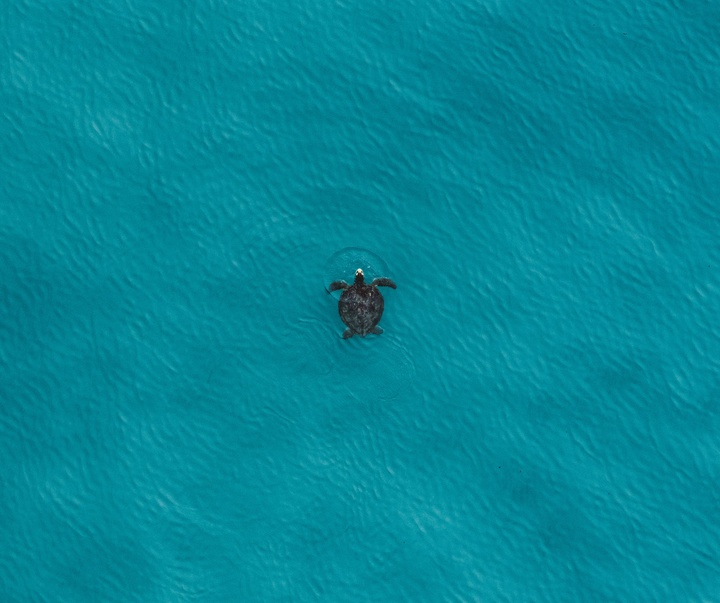 Gallery of Photography by Nicolas Ferri - Brazil
