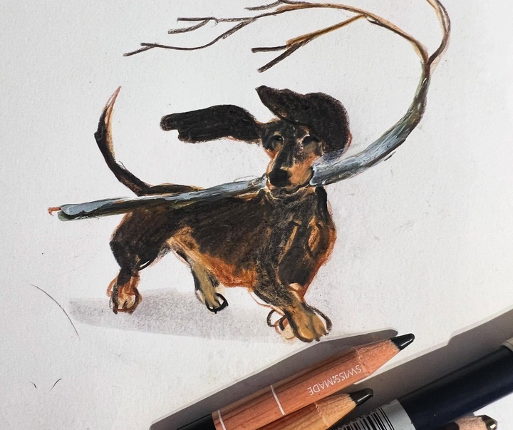Gallery of Illustration by Jenny Bloomfield - UK