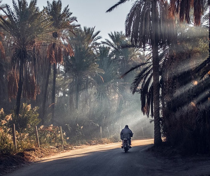 Gallery of photography by Skander Khalif-Tunisia
