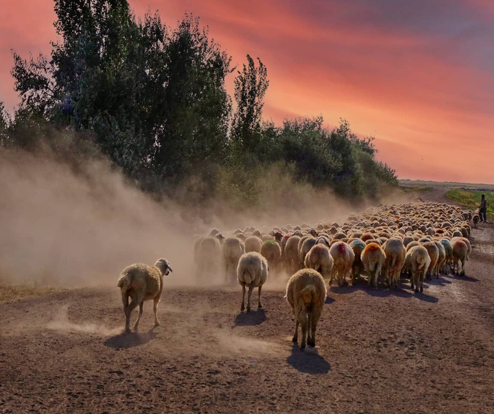 Gallery of photography by Mustafa Shahbaz - Turkey