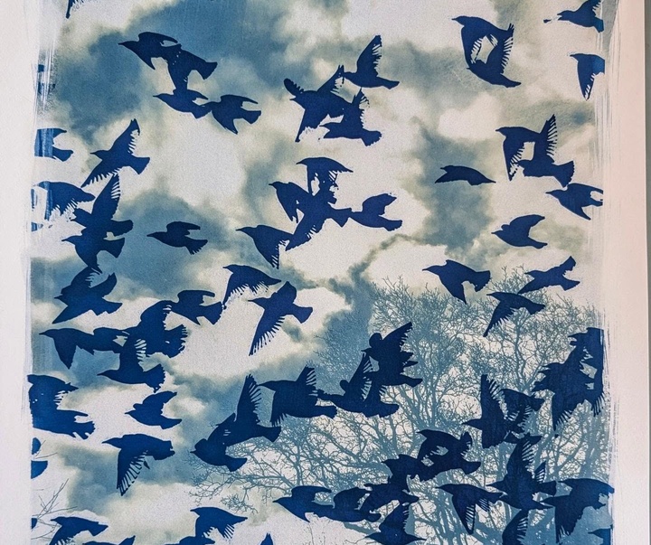 Gallery of Painting & Photography by Jane Constable - UK