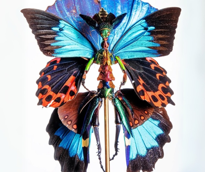 Gallery of Sculpture by Cedric Laquieze - USA