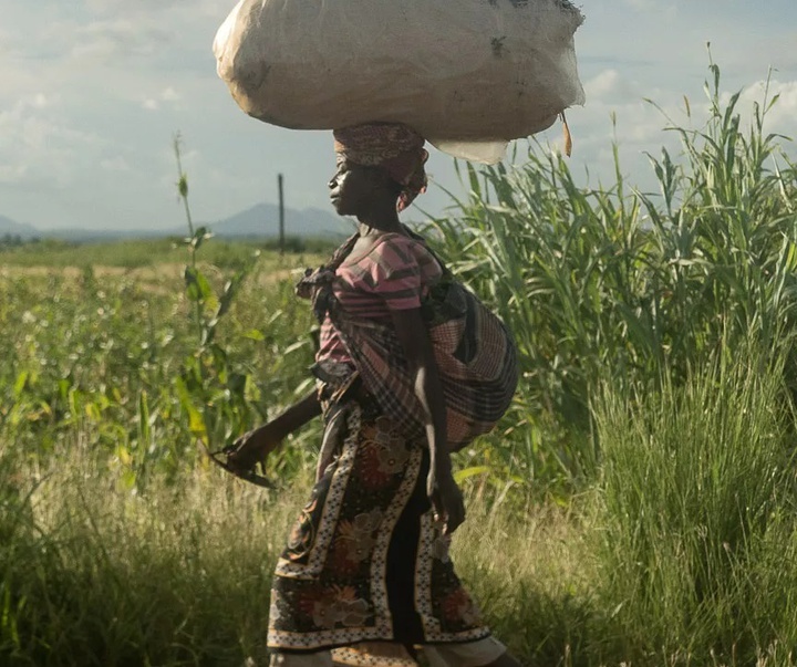 Gallery of photography by Grég. E. - Mozambique