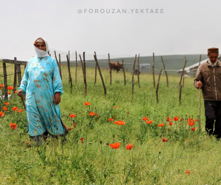 Gallery of Photography by Forouzan Yektaee-Iran