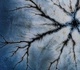 Gallery of Photography by Marcin Giba - Poland
