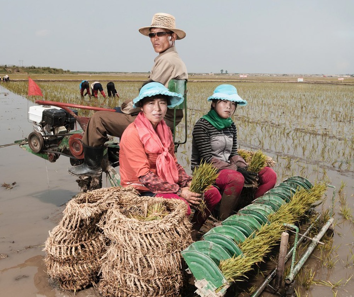 Gallery of North Korea photos by Stephan Gladieu