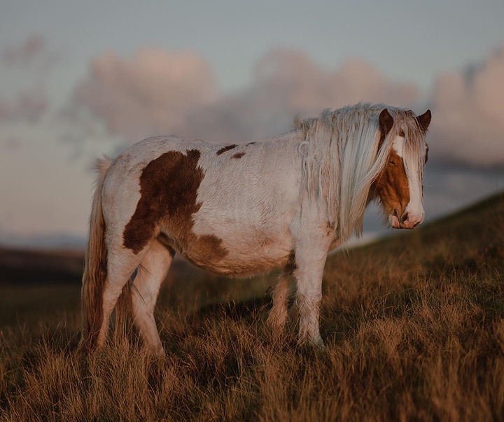 Gallery of Photography by Gareth Llewellyn - Wales