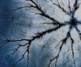 Gallery of Photography by Marcin Giba - Poland
