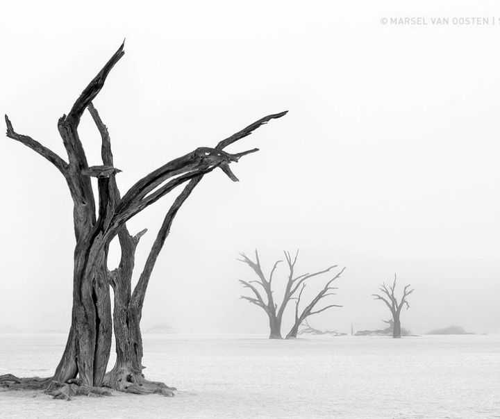 Gallery of Photography by Marsel van Oosten- Netherlands