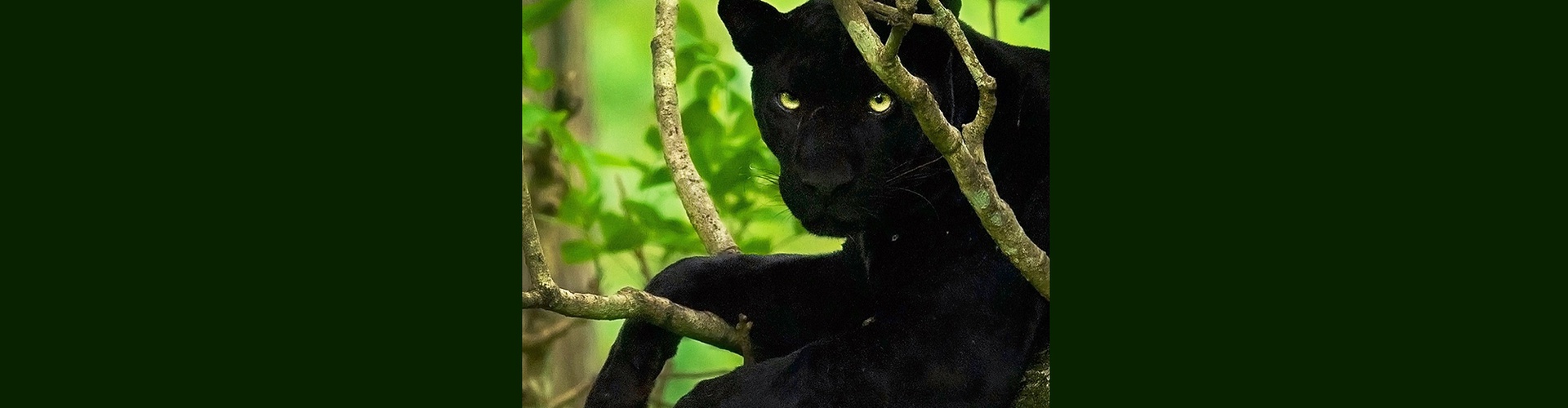 Gallery of Photography by Mithun Hunugund