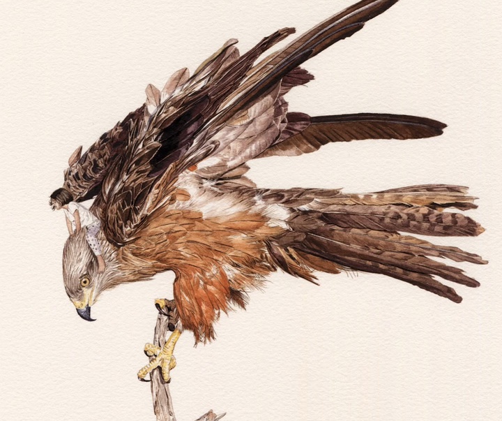 Gallery of Drawing & Painting by Merelle Fabien - France