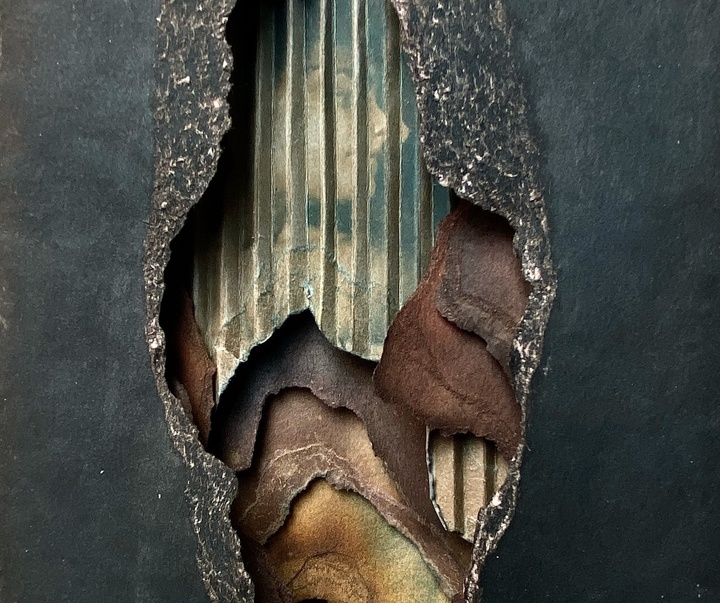 Gallery of Photography by Ramona Zordini - Italy