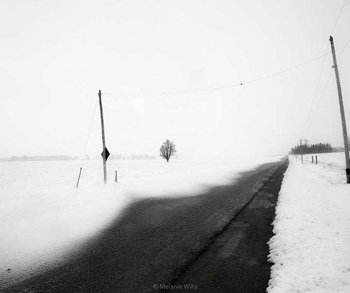 Gallery of Photography by Melanie Wills - Canada