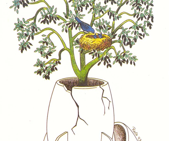 rafael colombia