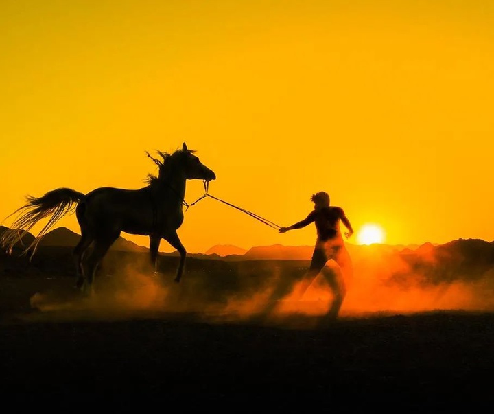 Gallery of photography by Salim Al Waheibi - Oman