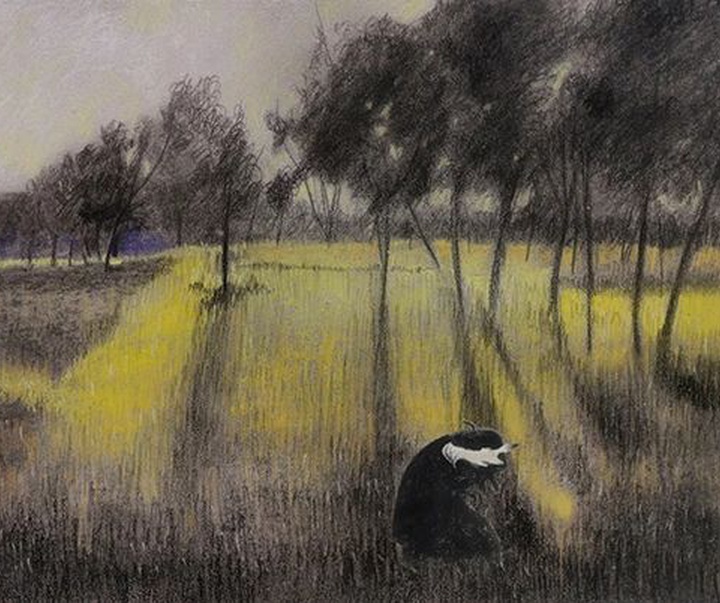 Gallery of Illustration by Sandra Marcela Restrepo - Colombia