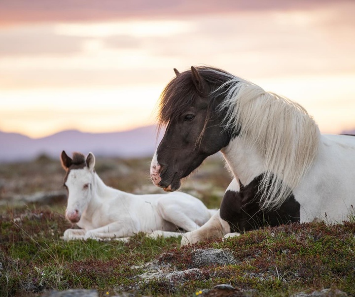 Gallery of Photography by Gigja Einars - Iceland