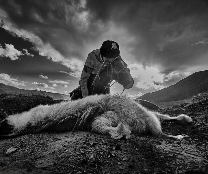 Gallery of Photos International Contest -Istanbul 2021