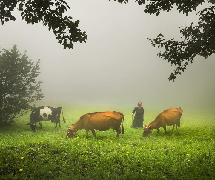 Gallery of Photos by Aygul Ozturk-Turkey