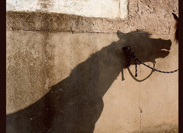 Gallery of Photography by laura pannack - UK