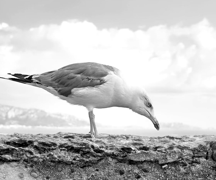 Gallery of Photography by Edgar Lascurain - Mexico