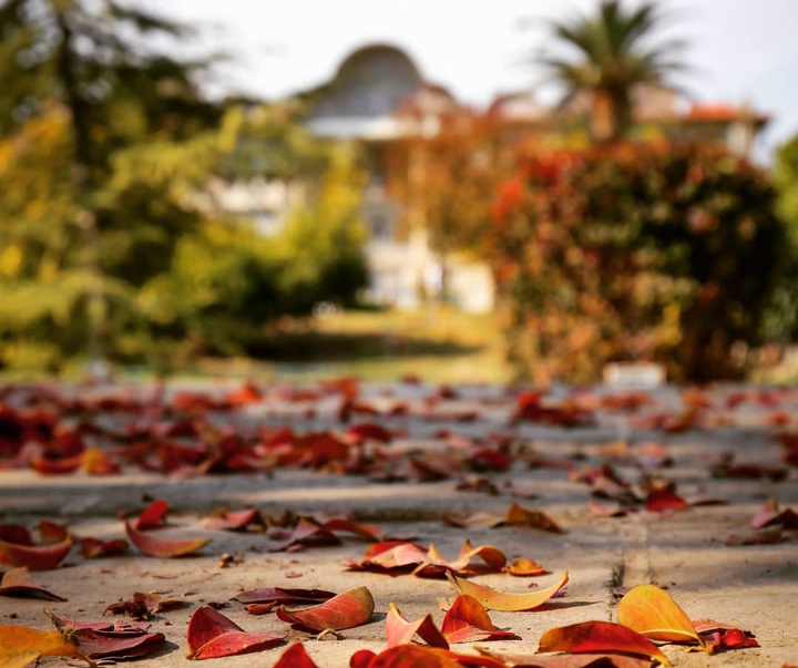 Gallery of photography by Amir Tavakoli - Iran