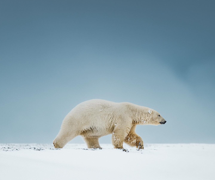 Gallery of Photography by Benjamin Hardman - Iceland