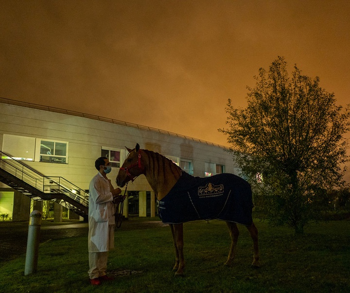 Gallery of Photos International Contest -Istanbul 2021