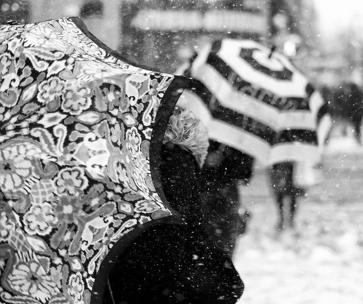 Gallery of Photography by Melissa Breyer - USA