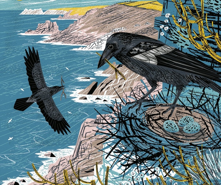Gallery of Illustration by Matt Johnson - UK
