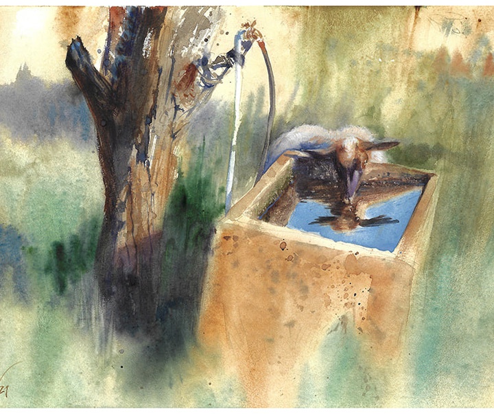 Gallery of Water color Artworks by Gonzalo Carcamo-Chile