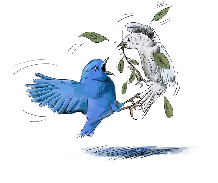 First Selection of the International Cartoon Contest “Terror Online”