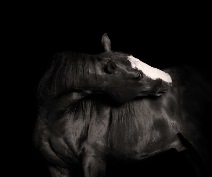 Gallery of Photography by Constance Jaeggi - Switzerland