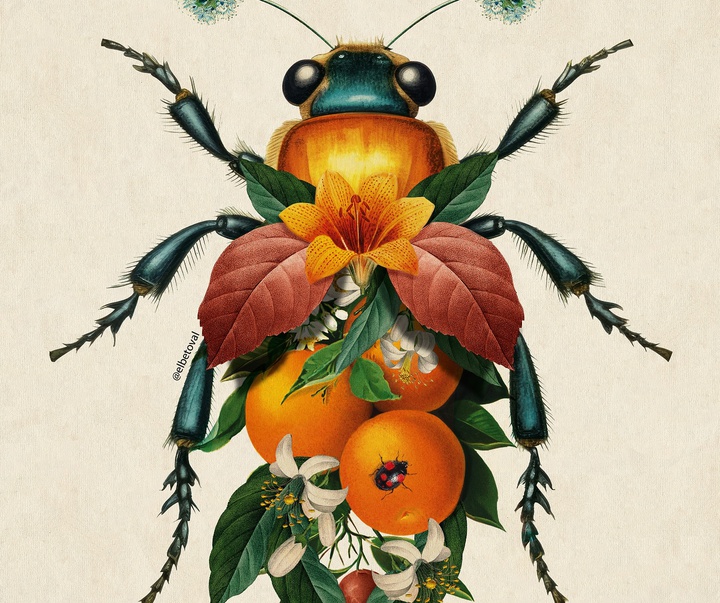 Gallery of Illustration by Beto Valencia - Ecuador