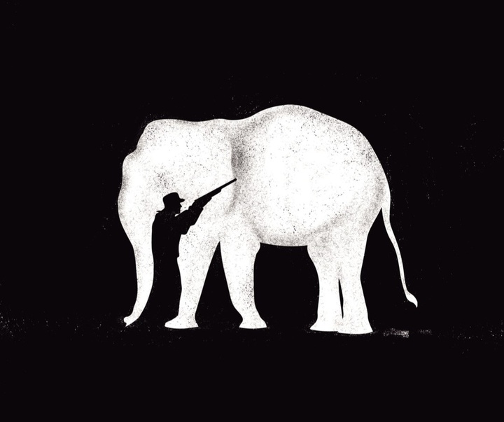 Gallery of Graphics by Ivan Ciro Palomino - Peru