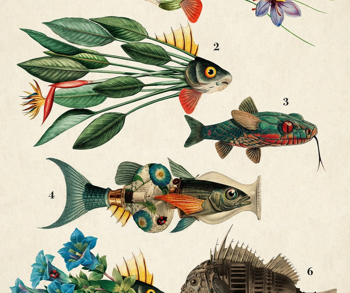 Gallery of Illustration by Beto Valencia - Ecuador