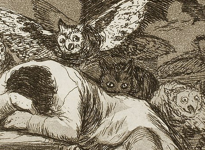 sleepiness awakens the wisdom of the monster