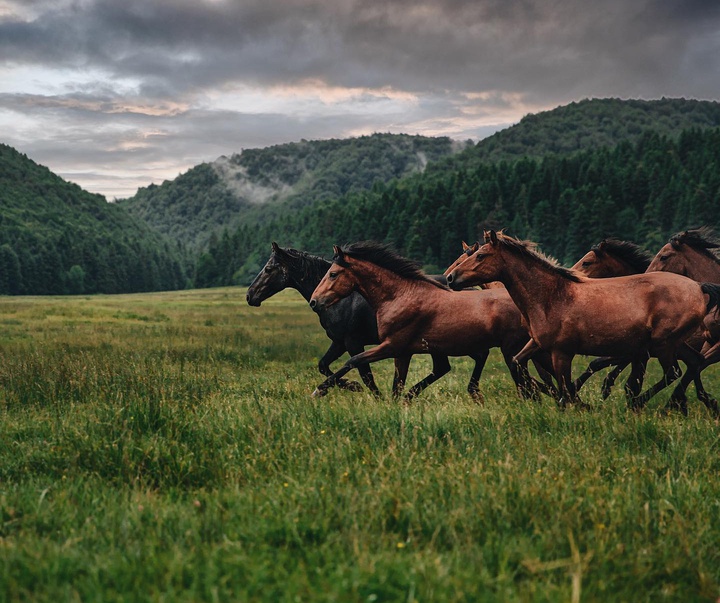 Gallery of Photography by Ahmet Erdem - Turkey