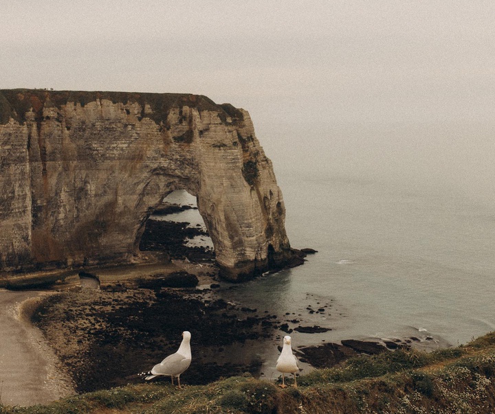 Gallery of Photography by Maley