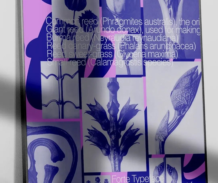 Gallery of Graphics by Quim Marin - Spain