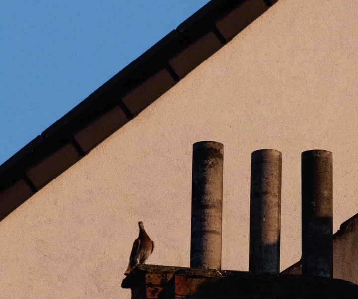 Gallery of Photography by Francis Vanquickelberghe