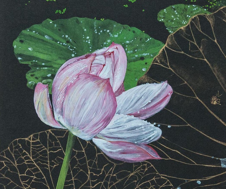 Gallery of Painting by Lumi Mizutani - Japan