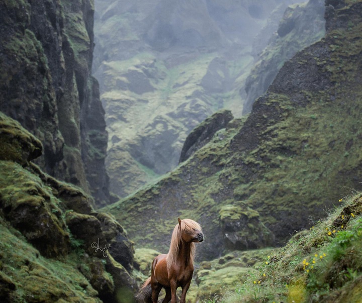 Gallery of photography by Liga Liepina - Iceland