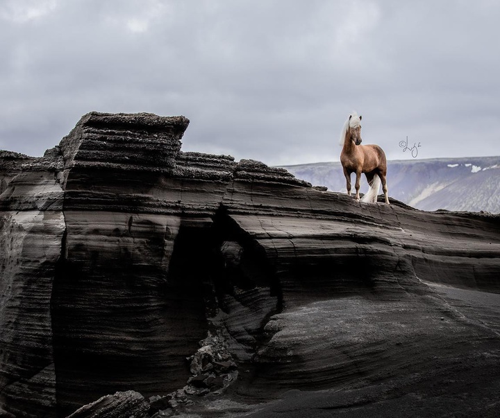 Gallery of photography by Liga Liepina - Iceland