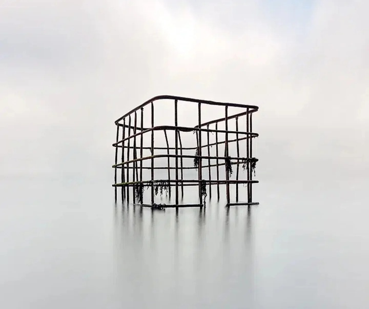 Gallery of Photography by Emma Steele
