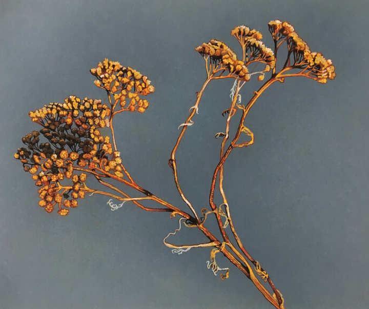 Gallery of Painting & Drawing by Robin Uleman - Netherlands