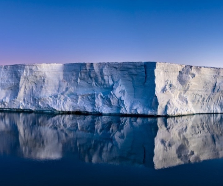 Gallery of Photography by Paul Nicklen - Canada