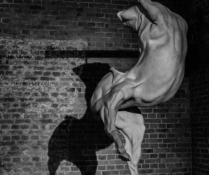 Gallery of Sculpture by Gino Lucas - Belgium