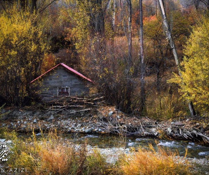 Gallery of photography by Bahman Azizi- Iran