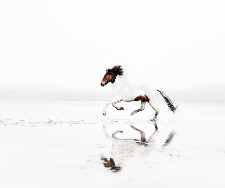 Gallery of Photography by Gigja Einars - Iceland